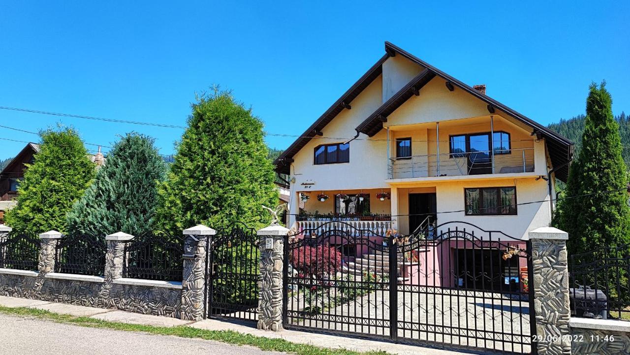 Dariamaf Apartment Câmpulung Moldovenesc Exterior photo